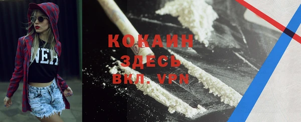 гидра Алексин