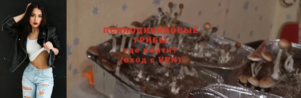 гидра Алексин