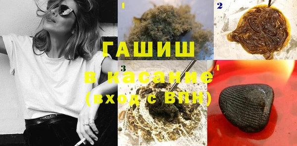 гидра Алексин