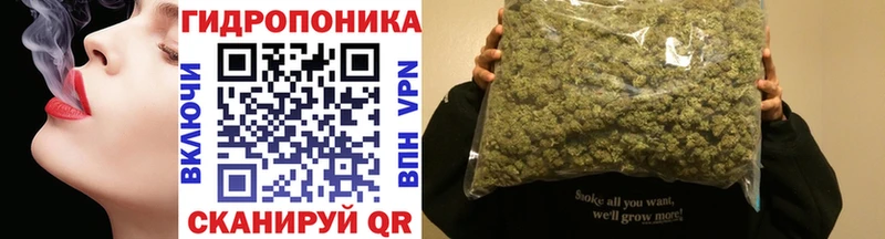 Каннабис Amnesia где продают наркотики Старая Русса